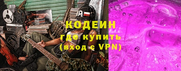 тгк Бородино