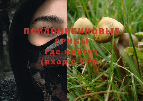 твердый Богородицк