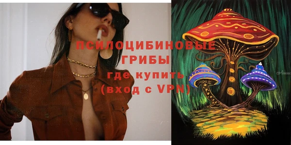 тгк Бородино