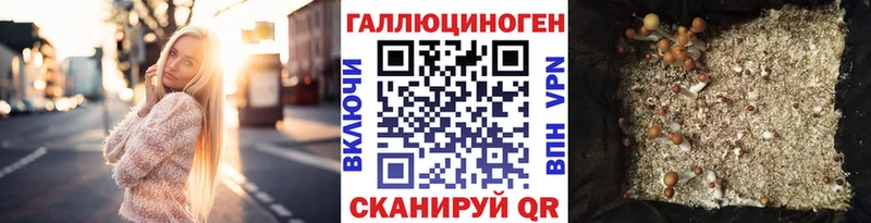 Купить где  Уржум  Псилоцибиновые грибы прущие грибы 