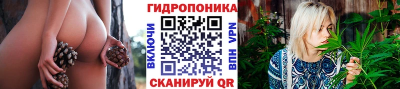 Купить закладки Уржум Конопля Bruce Banner